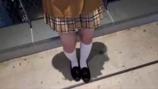 国产精品极品美女在线,成人视频高清免费观看